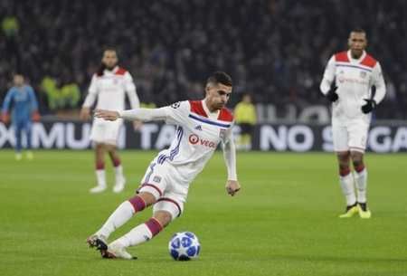 对于公鹿来 对于公鹿来