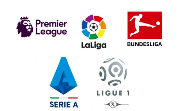 主要包括以 主要包括以