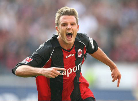 所强调的 所强调的